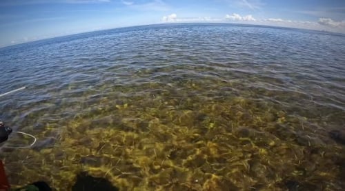 Bow fishing/ gigging trips