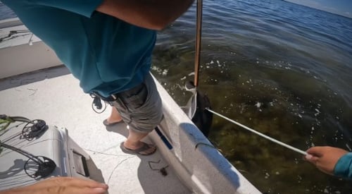 Bow fishing/ gigging trips