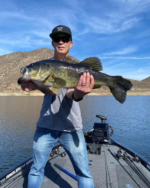 Bass Fishing Trip
