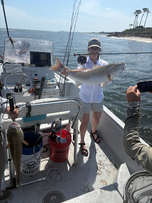 4 hour inshore fishing trip 
