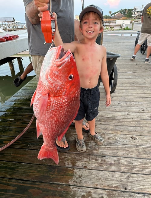 4 hour Snapper Trip