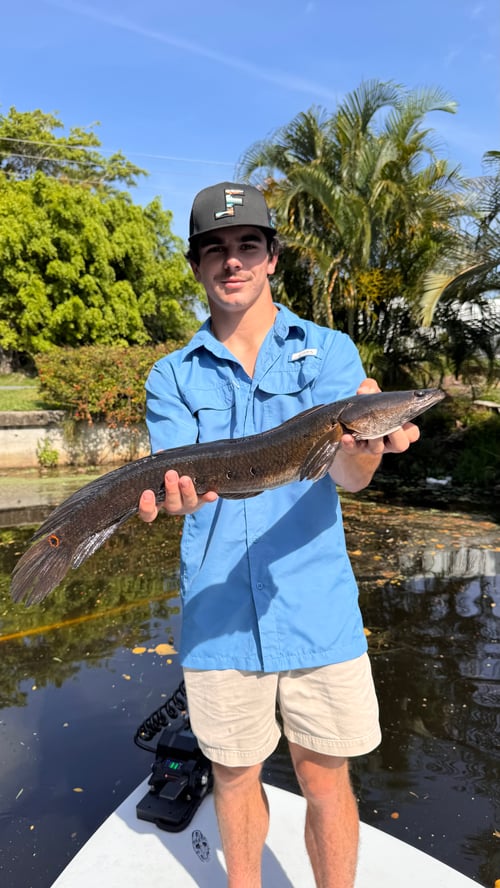 Florida Snakehead Fishing 