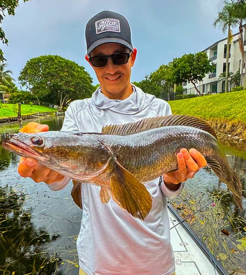 Florida Snakehead Fishing 