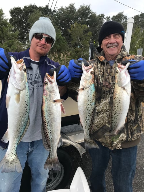 Half Day Charter