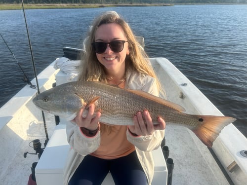 Half Day Charter