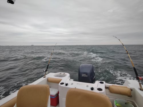 Back Bay fishing