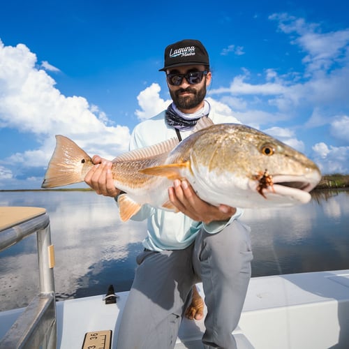 The Laguna Madre Expierence