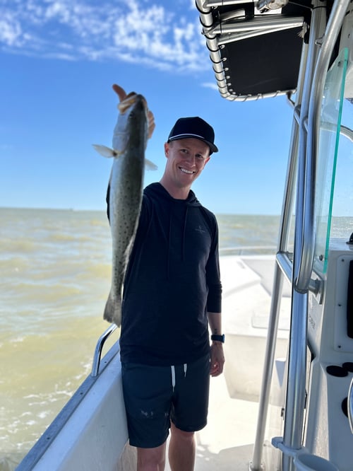 LAID BACK - Light Tackle! 