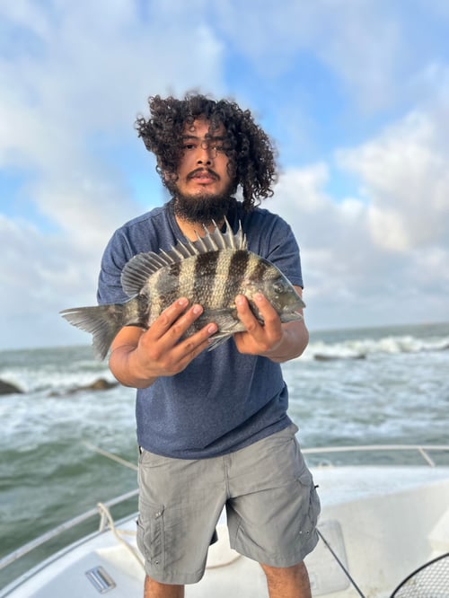 LAID BACK - Light Tackle! 