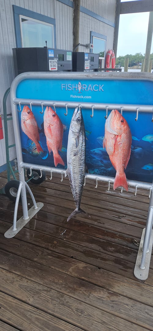 5 hr bottom fishing