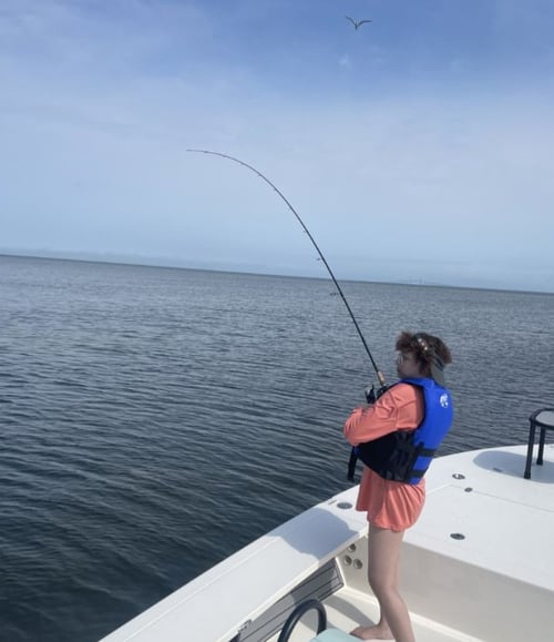 4-6 Hour Trip – Inshore 