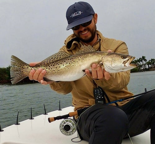 Sarasota Bay Fly & Light Tackle
