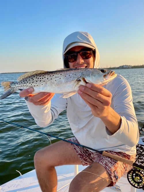 Sarasota Bay Fly & Light Tackle