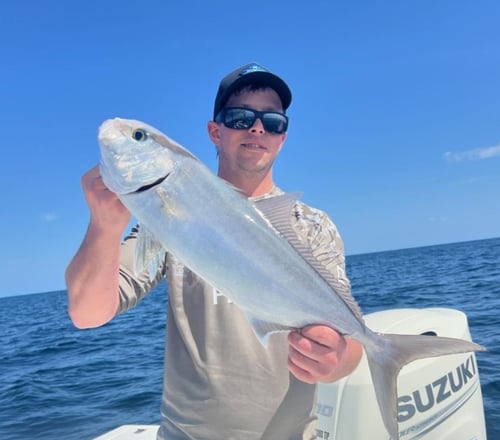 Half Day Offshore Trip