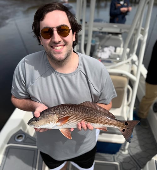 4-6 Hour Trip Trip – Inshore