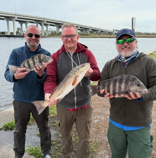 4-6 Hour Trip Trip – Inshore