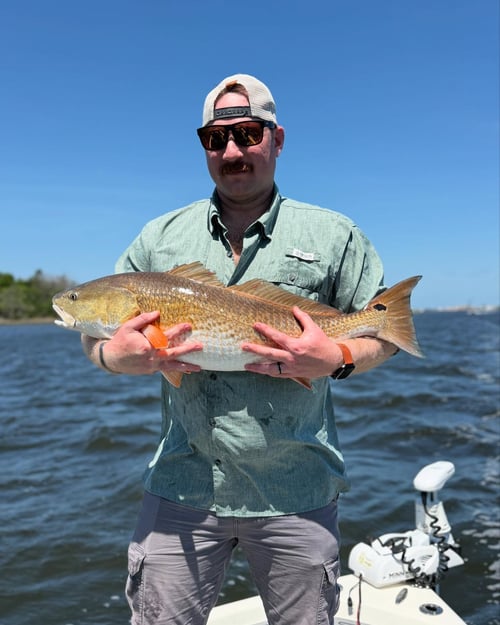 4-6 Hour Trip Trip – Inshore