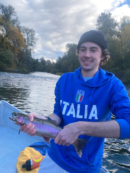 Half Day Trout Fly Fishing