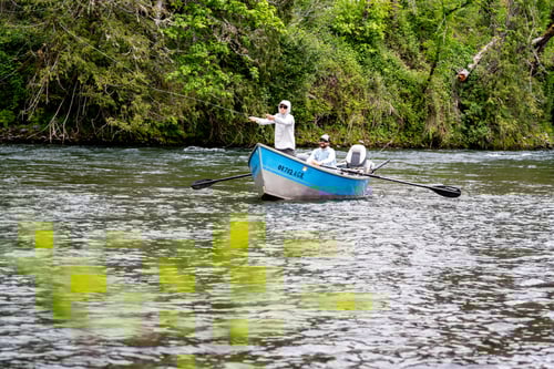 Half Day Trout Fly Fishing