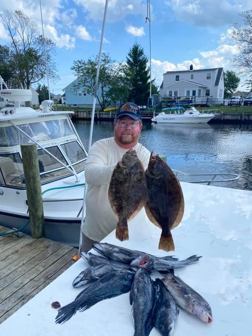 All Day in the Bay – Inshore Fluke