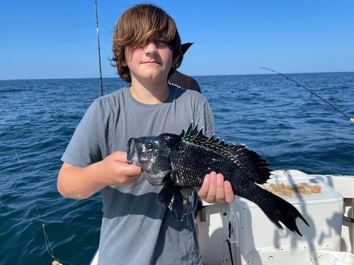 Full Day Inshore Seabass