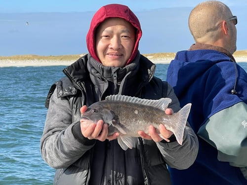 Full Day Inshore Tautog