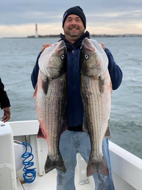Full Day Trophy Striper