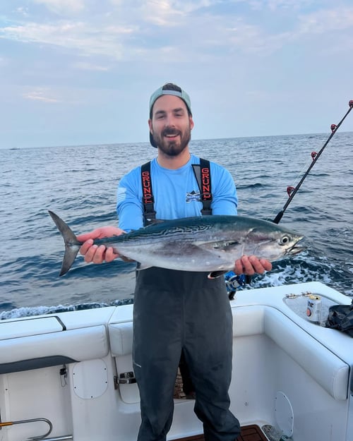 Full-Day Offshore Tuna Fishing Trip