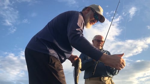 Lake Travis Summer Bassin' Trips