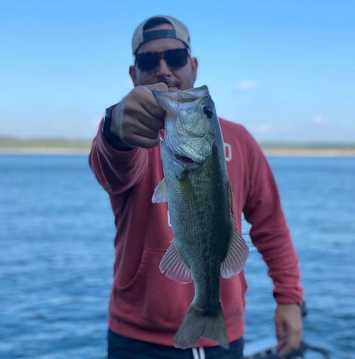 Lake Travis Summer Bassin' Trips
