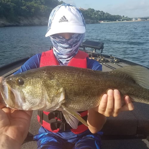 Lake Travis Summer Bassin' Trips