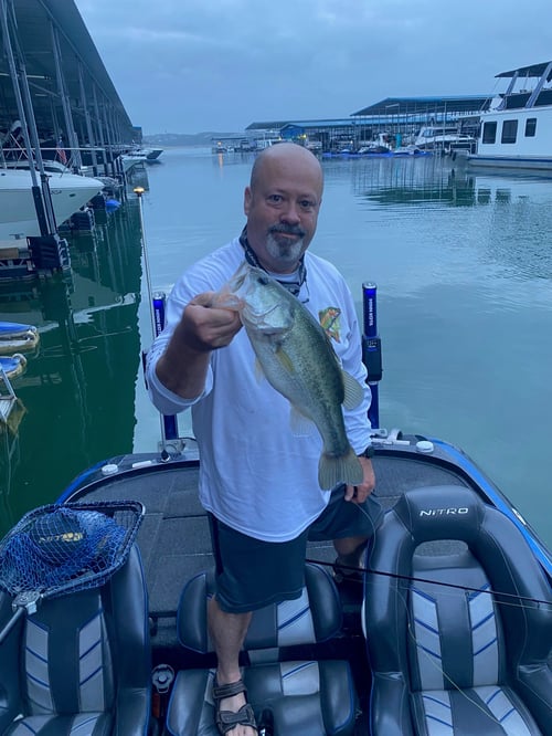 Lake Travis Summer Bassin' Trips