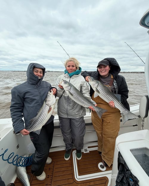 6 Hour Morning Striper Trip