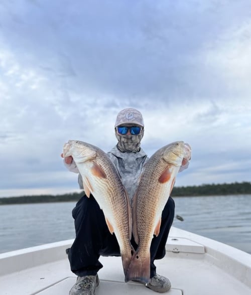 3 hour Quick Tripletail or Redfish