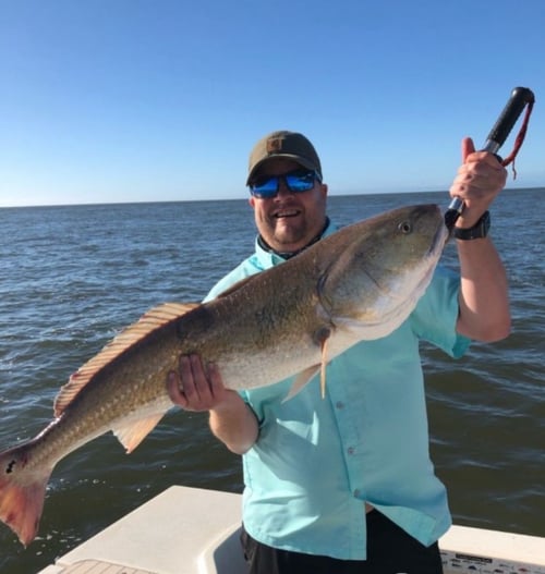 3 hour Quick Tripletail or Redfish