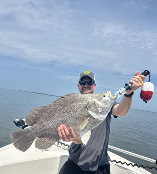 3 hour Quick Tripletail or Redfish