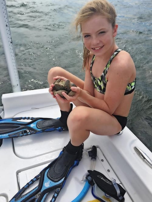 Scalloping excursion