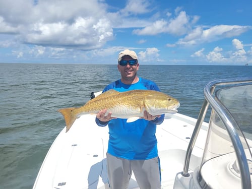 Inshore Fishing Trip