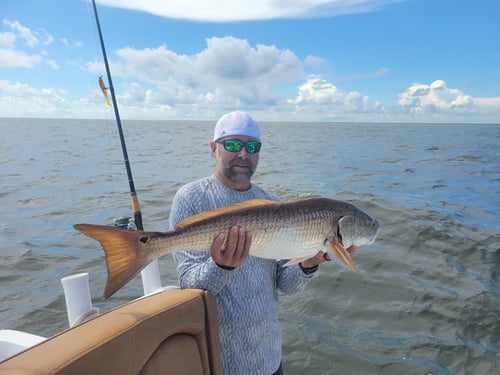 Inshore Fishing Trip