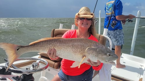Inshore Fishing Trip