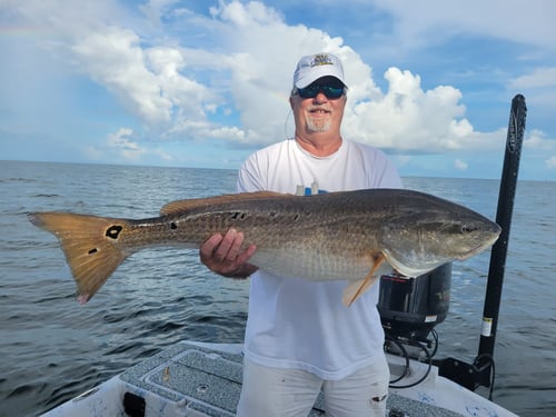 Inshore Fishing Trip