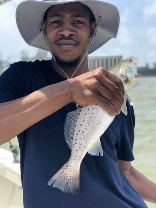 Speckled Trout Fishing in Galveston, Texas