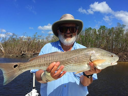 Inshore adventure Starts Here 