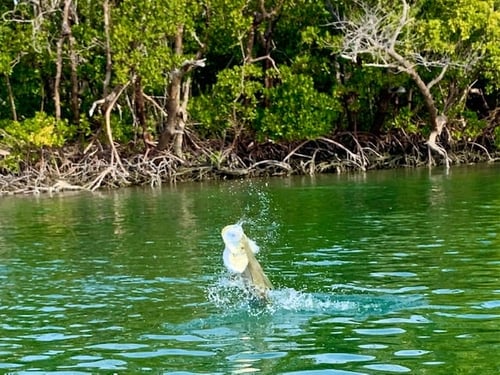 Inshore adventure Starts Here 