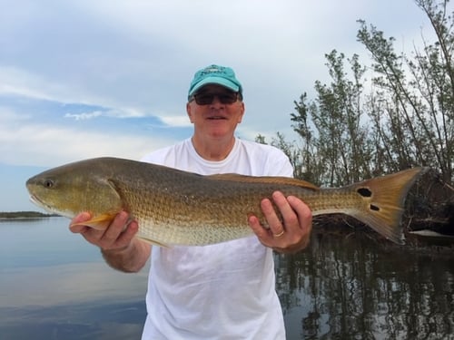 Inshore adventure Starts Here 