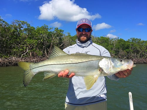 Big Fish Light Tackle Adventure 
