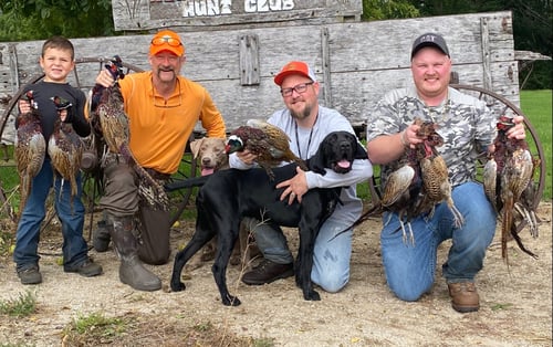 Pheasant Plucking Day!