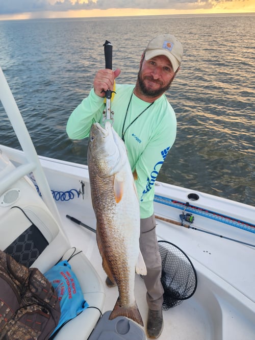 Big Red