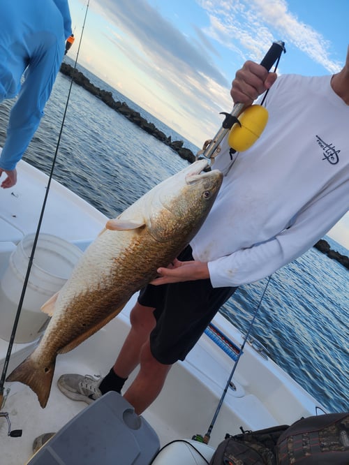 Big Red