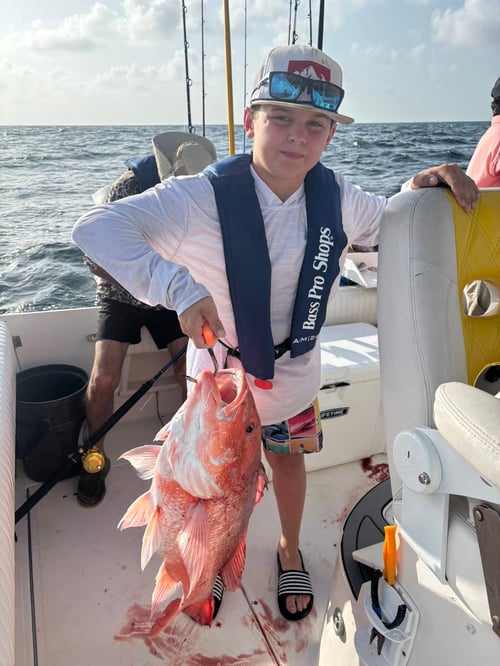 6-8HR Red Snapper